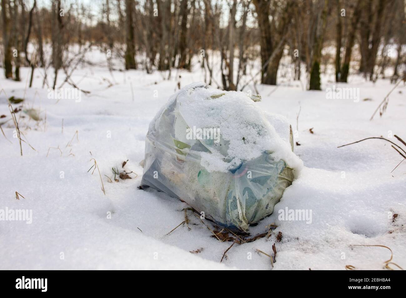 Un sacchetto di lettiera gettato nei boschi. Foto Stock