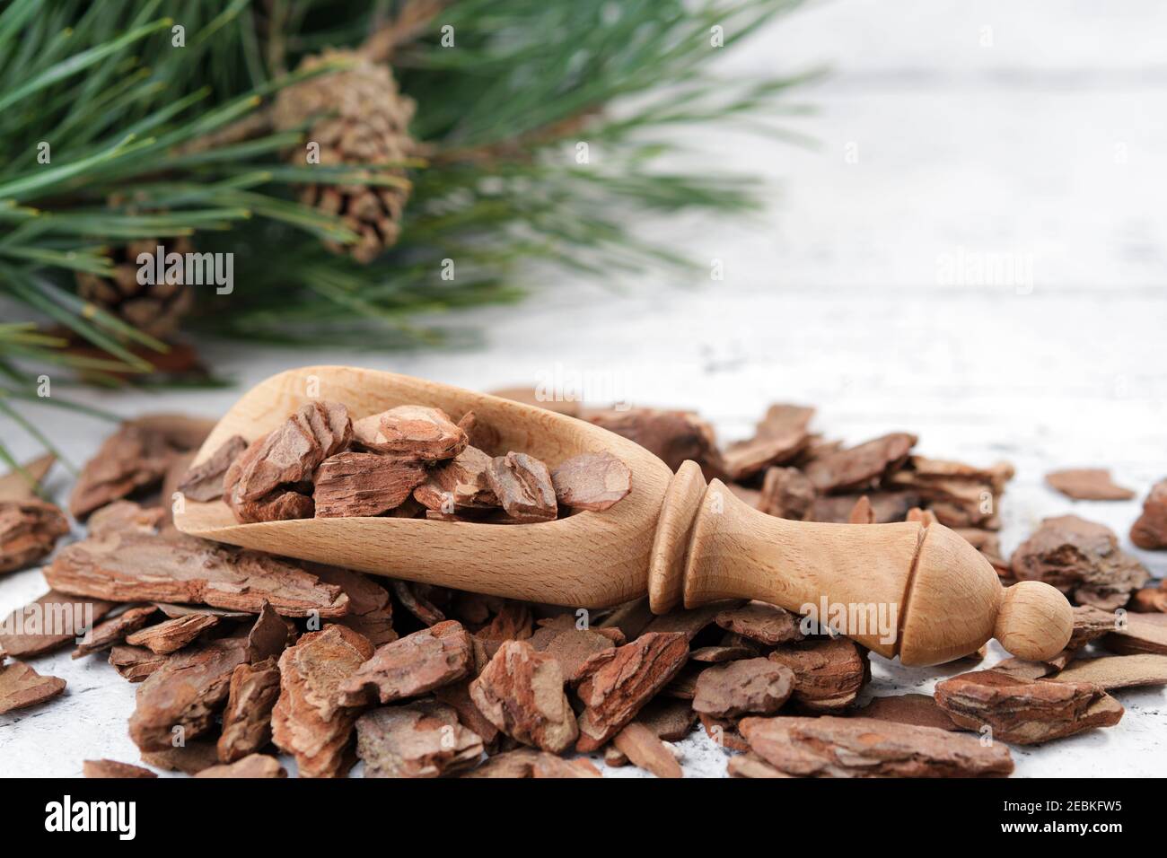 Corteccia di pino, paletta di legno e rami di pino su tavola di legno bianco. Foto Stock