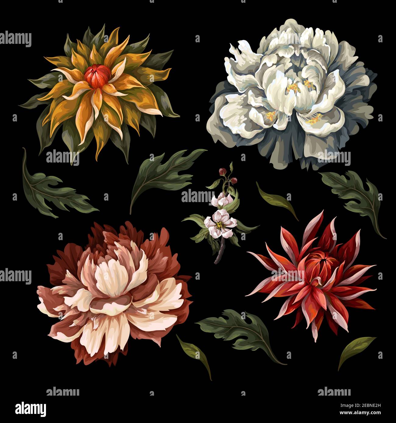 Fiori scuri d'epoca come la ponia, la rosa e il crisantemo isolati. Vettore. Illustrazione Vettoriale