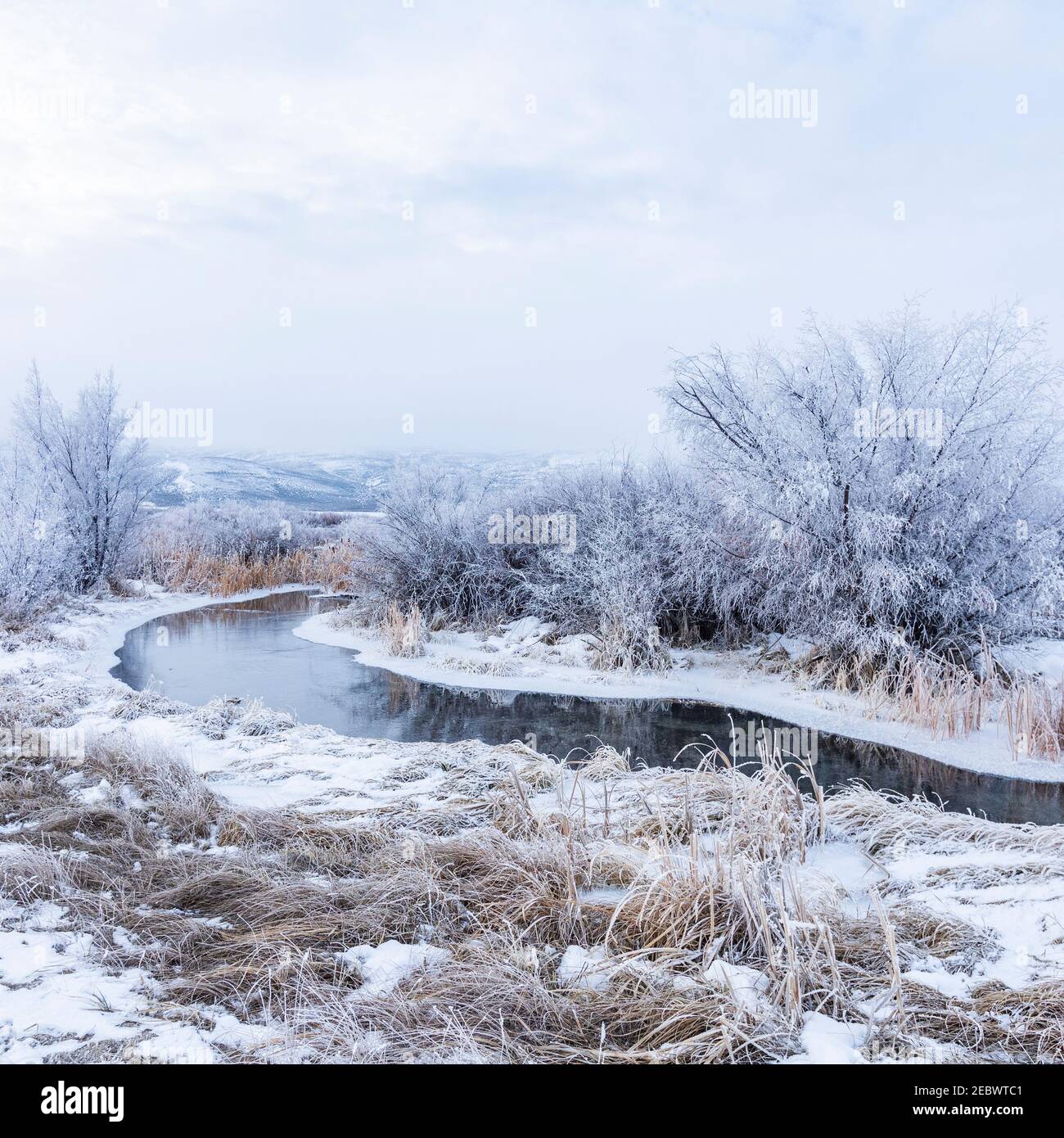 USA, Idaho, Bellevue, paesaggio invernale con ruscelli e alberi Foto Stock