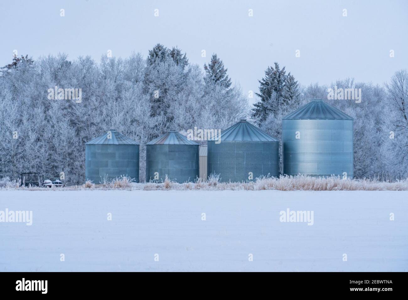 USA, Idaho, Bellevue, silos agricoli in inverno Foto Stock