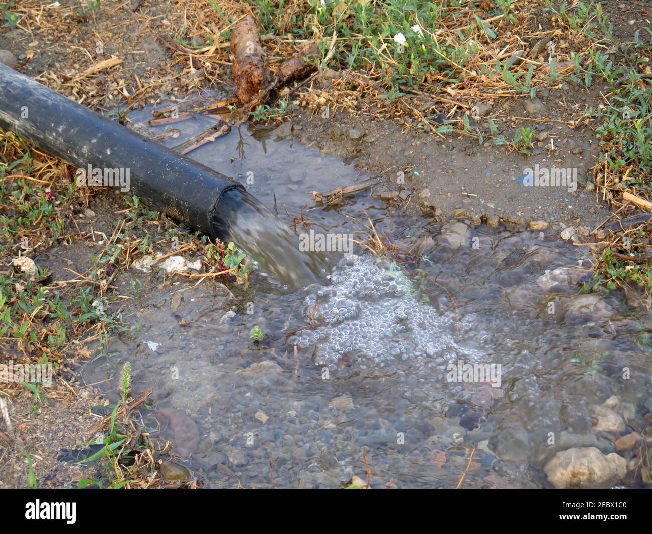 Tubo di gomma di grande calibro che disgola l'acqua di irrigazione in limoneto In Andalusia Foto Stock