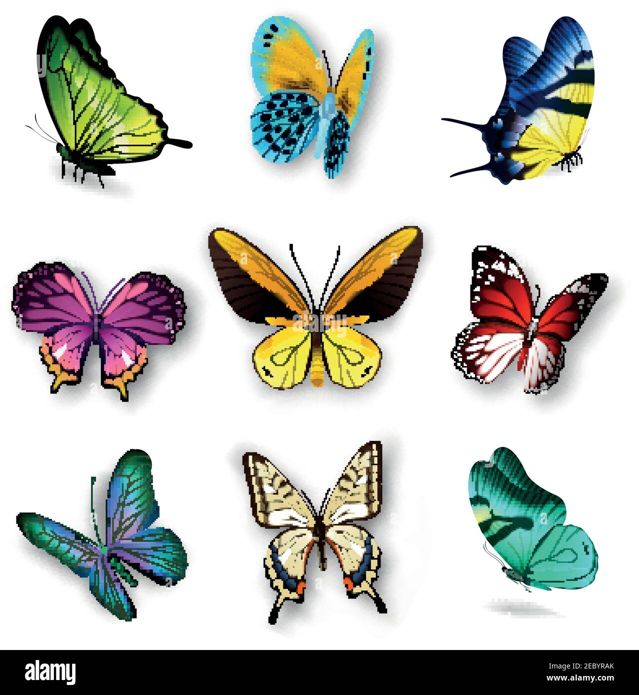 Set realistico con varie farfalle colorate isolate su sfondo bianco illustrazione vettoriale Illustrazione Vettoriale