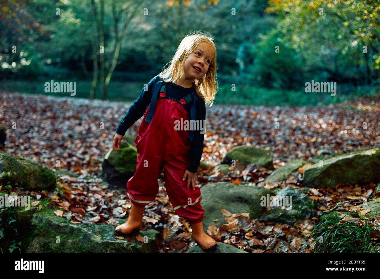 Un piccolo preschooler in abiti impermeabili sta giocando in boschi in una soleggiata giornata autunnale Foto Stock
