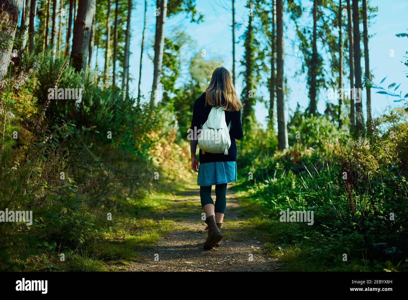 Una giovane donna sta camminando nei boschi su un soleggiato giorno d'autunno Foto Stock
