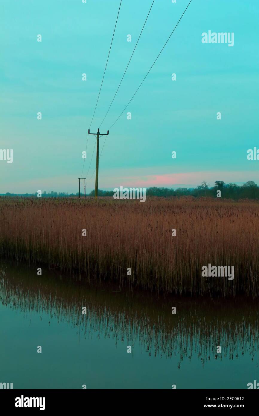 Polo elettrico a Seaton Wetlands, Devon Foto Stock