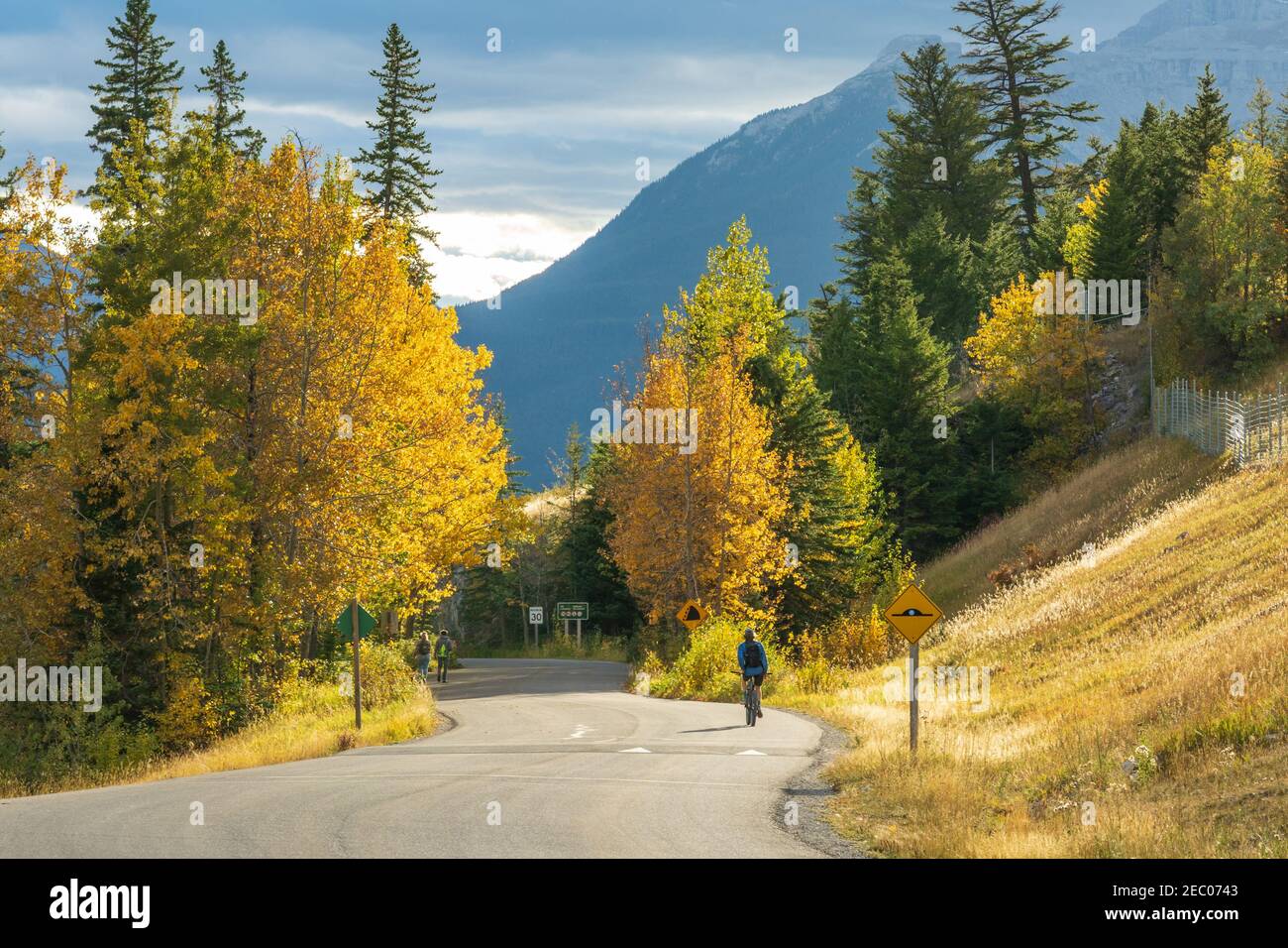 Vermilion Lakes Road in autunno fogliame stagione giorno di sole. Banff Legacy Trail, Banff National Park, Canadian Rockies, Alberta, Canada. Foto Stock