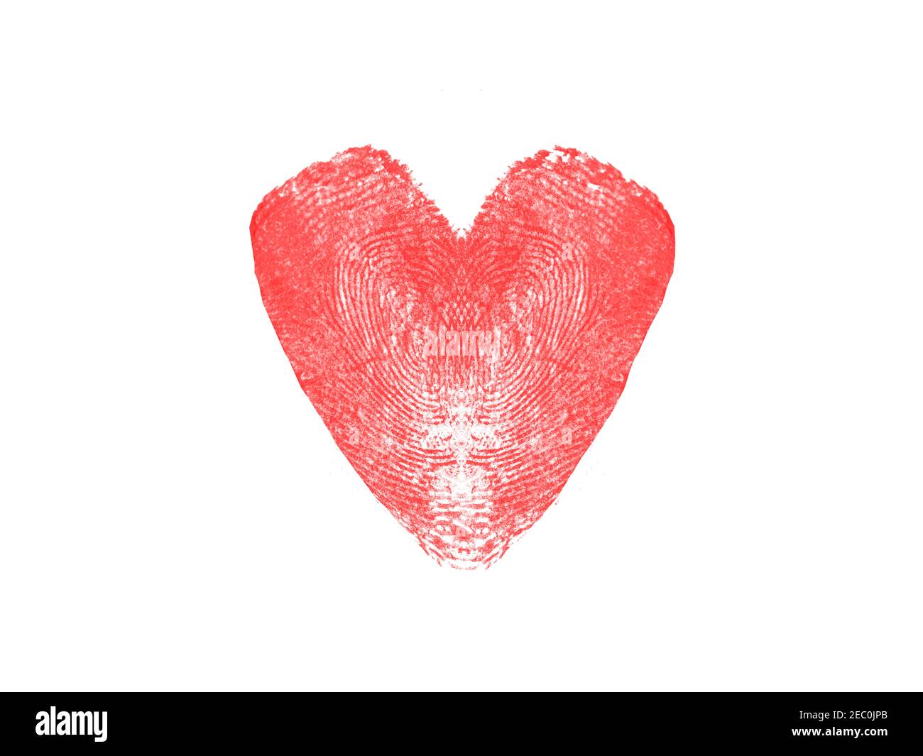cuore rosso costituito da due impronte digitali isolate su uno sfondo bianco. Foto di alta qualità Foto Stock