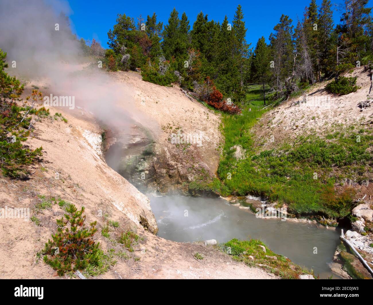 Draghi bocca molla, fango Area del vulcano, il Parco Nazionale di Yellowstone Foto Stock