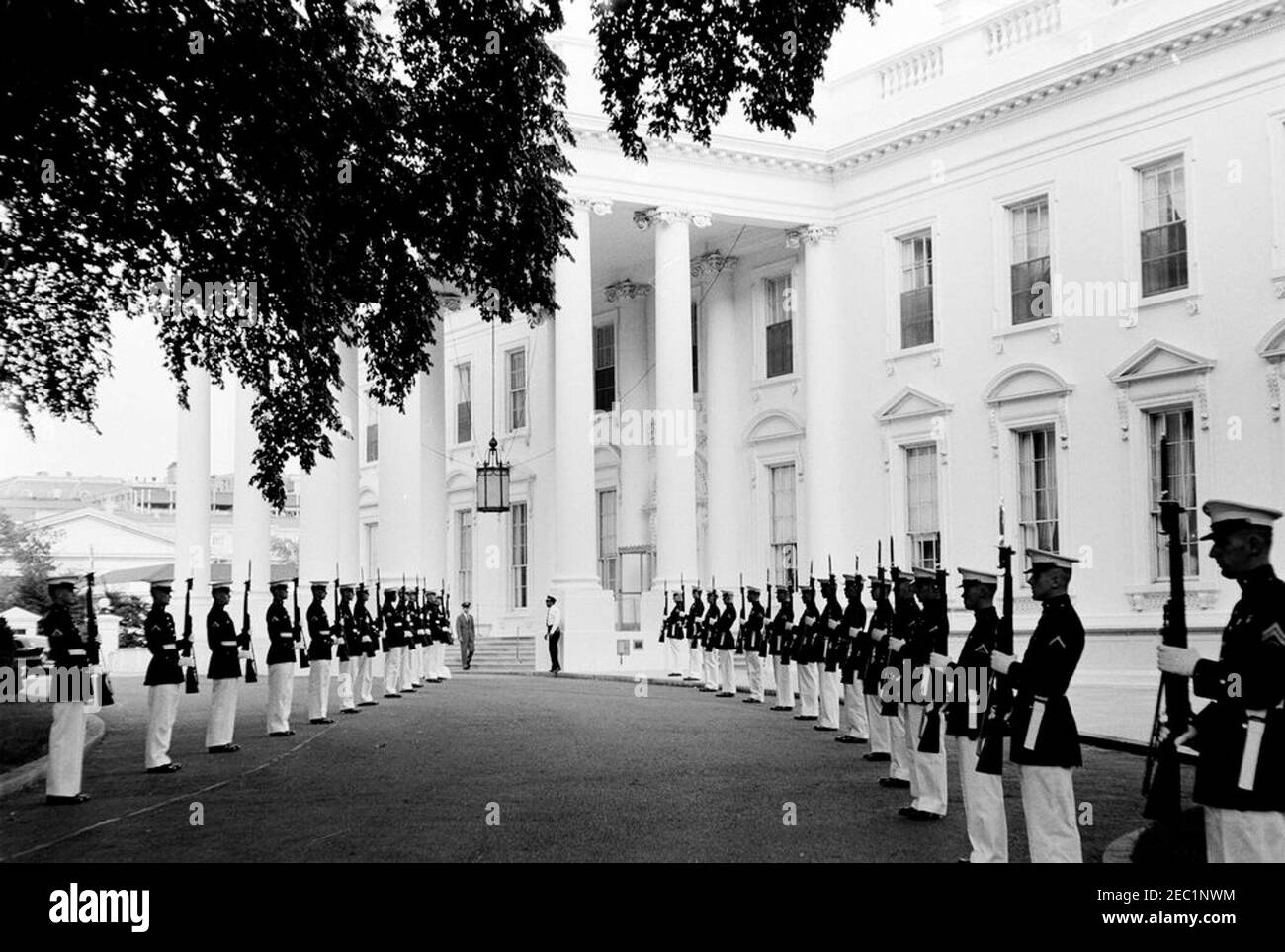 Cena in onore di Fu00e9lix Houphouu00ebt-Boigny, presidente della Costa d'Avorio, alle 20:00. Le guardie d'onore marine degli Stati Uniti fiancheggiano il viale Nord Lawn per l'arrivo del presidente della Costa d'Avorio, Fu00e9lix Houphouu00ebt-Boigny, prima di una cena in suo onore. White House, Washington, D.C. Foto Stock