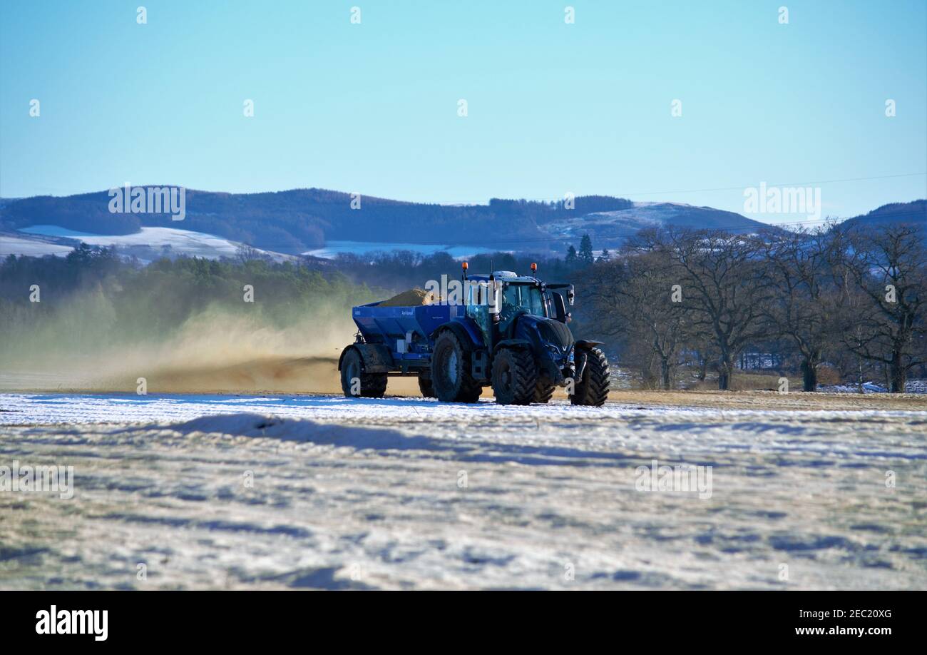 Trattore Valtra T194 e Agri-Spread AS65 che sparge calce su terreni innevati, Meikleour Estate, Blairgowrie, Perthshire, Scozia Foto Stock