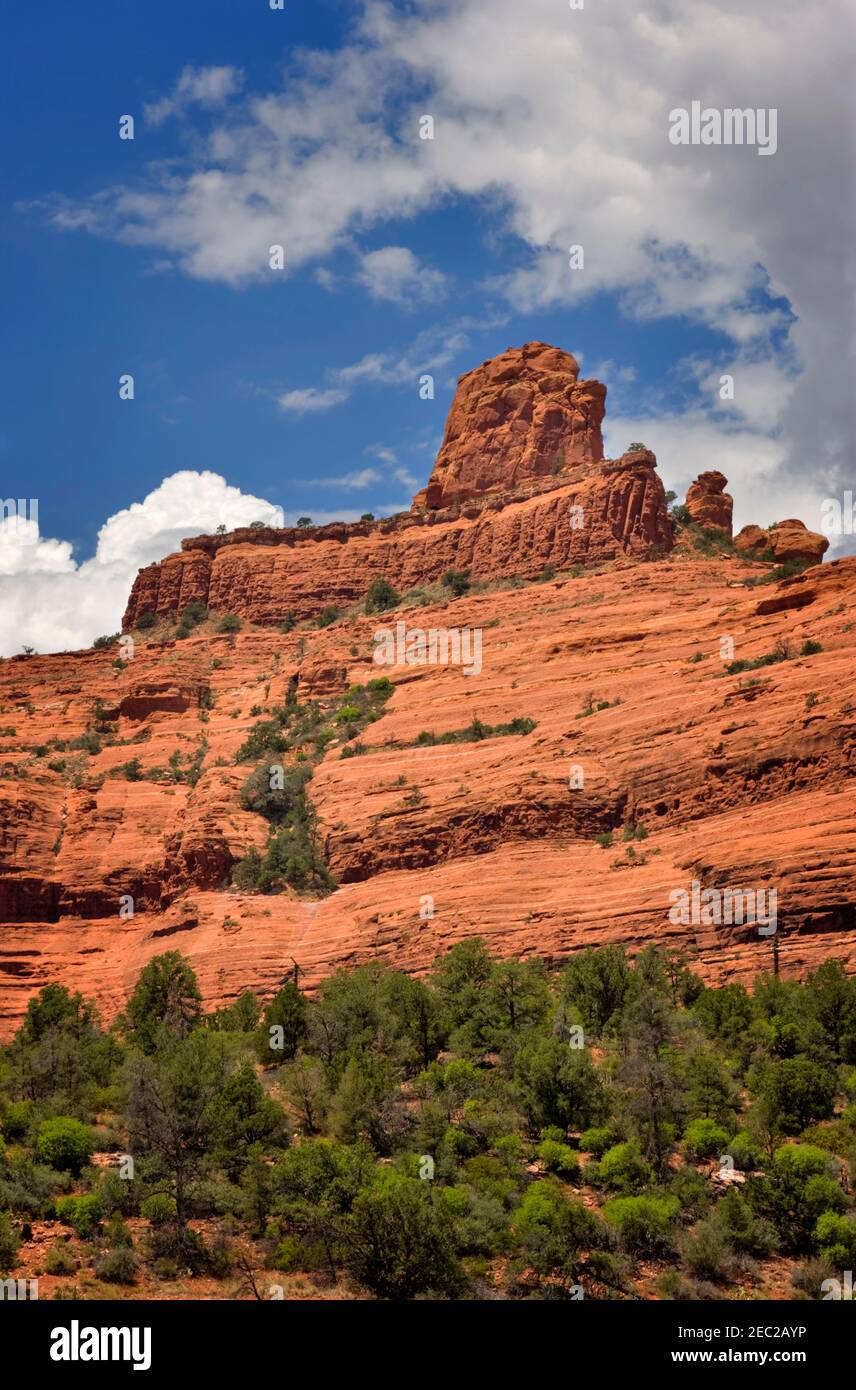 Gli strati di arenaria rossa di una parte della formazione di Schnebly Hill, uno spesso strato di arenaria di colore rosso-arancio che si trova solo nelle vicinanze di Sedona Foto Stock