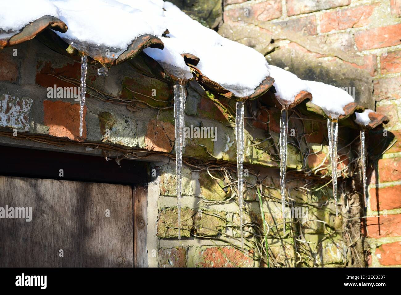 formazione di icicles sul tetto ellerton york yorkshire regno unito Foto Stock