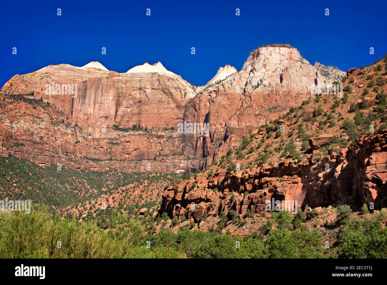 Il Great White Throne, Zion National Park, Utah. Vista dall'alto dei tornanti sulla Zion Mt Carmel Highway a Zion National Park, Utah. Foto Stock