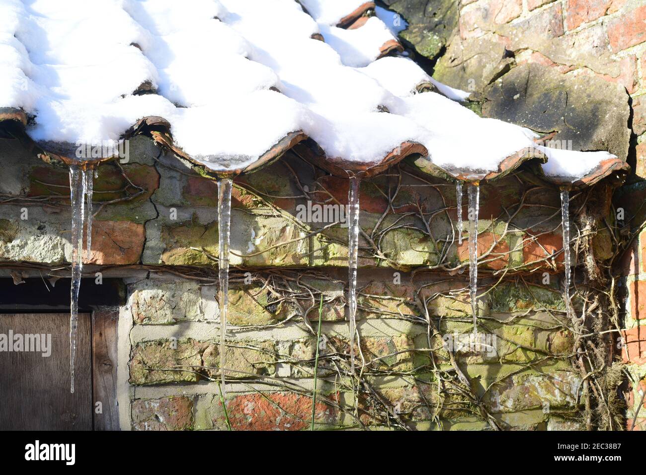 formazione di icicles sul tetto ellerton york yorkshire regno unito Foto Stock