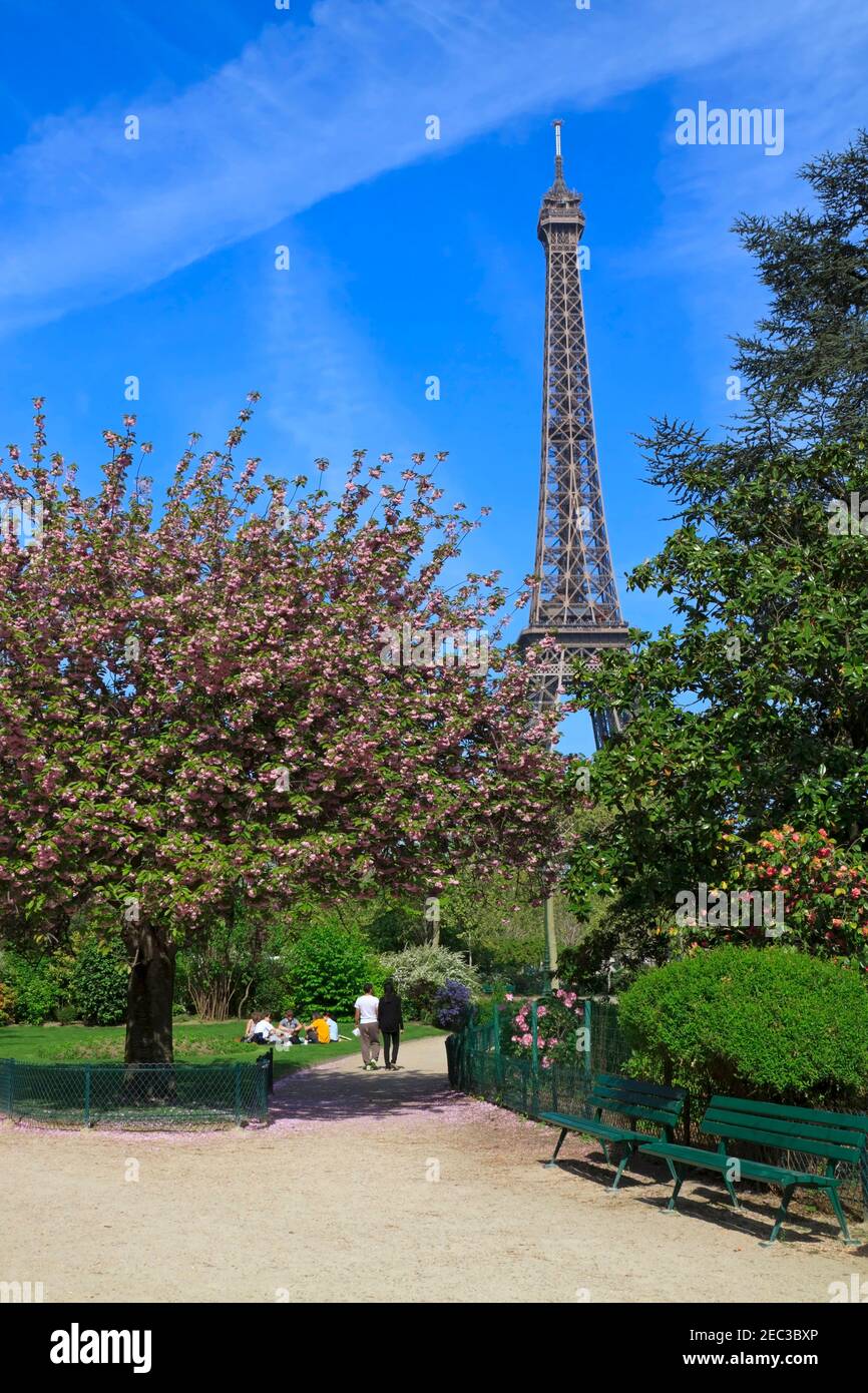 Alberi in fiore nel Champ de Mars nel mese di aprile in Parigi Foto Stock