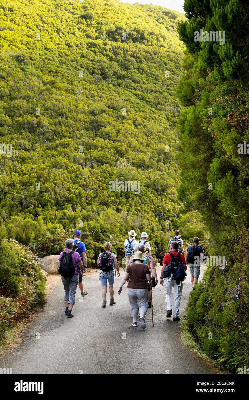 Madeira, Portogallo - Settembre 2017: Un gruppo di turisti si sono recati a piedi alla cascata 25 Fontes e Risco Foto Stock