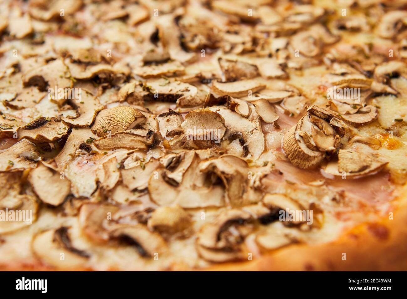Deliziosa pizza con funghi e ronzio su fondo verde erba Foto Stock