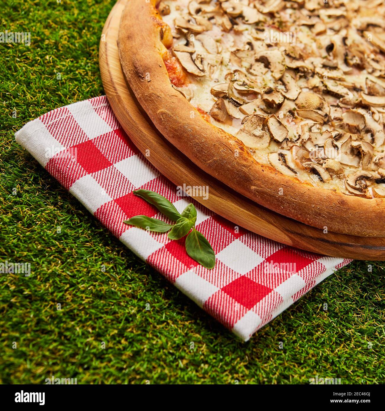 Deliziosa pizza con funghi e ronzio su fondo verde erba Foto Stock