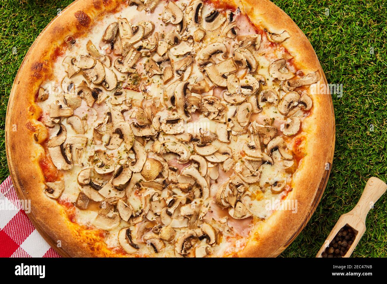 Deliziosa pizza con funghi e ronzio su fondo verde erba Foto Stock