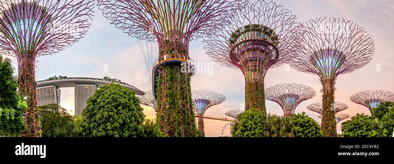 Il Marina Bay Sands in Singapore Foto Stock