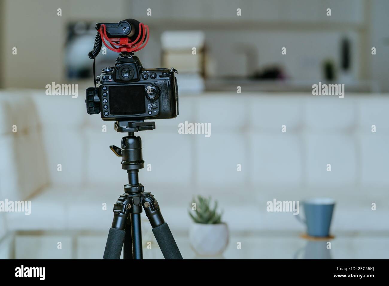 Fotocamera con microfono sul treppiede pronto per la registrazione video in salotto. Foto Stock