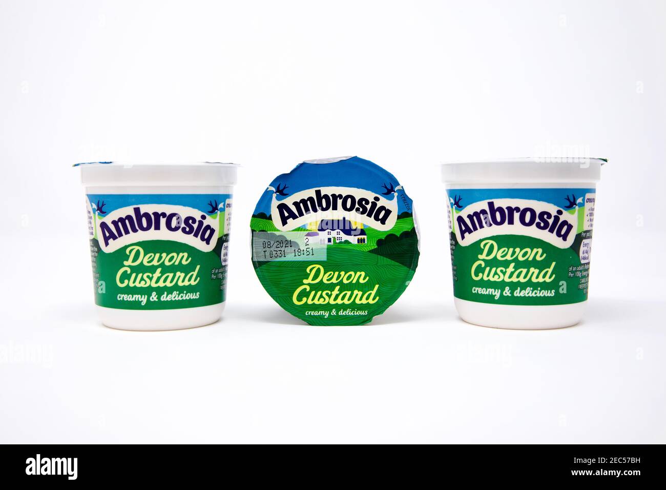 Ambrosia Devon crema pasticcera Foto Stock