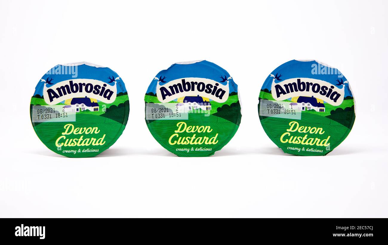 Ambrosia Devon crema pasticcera Foto Stock
