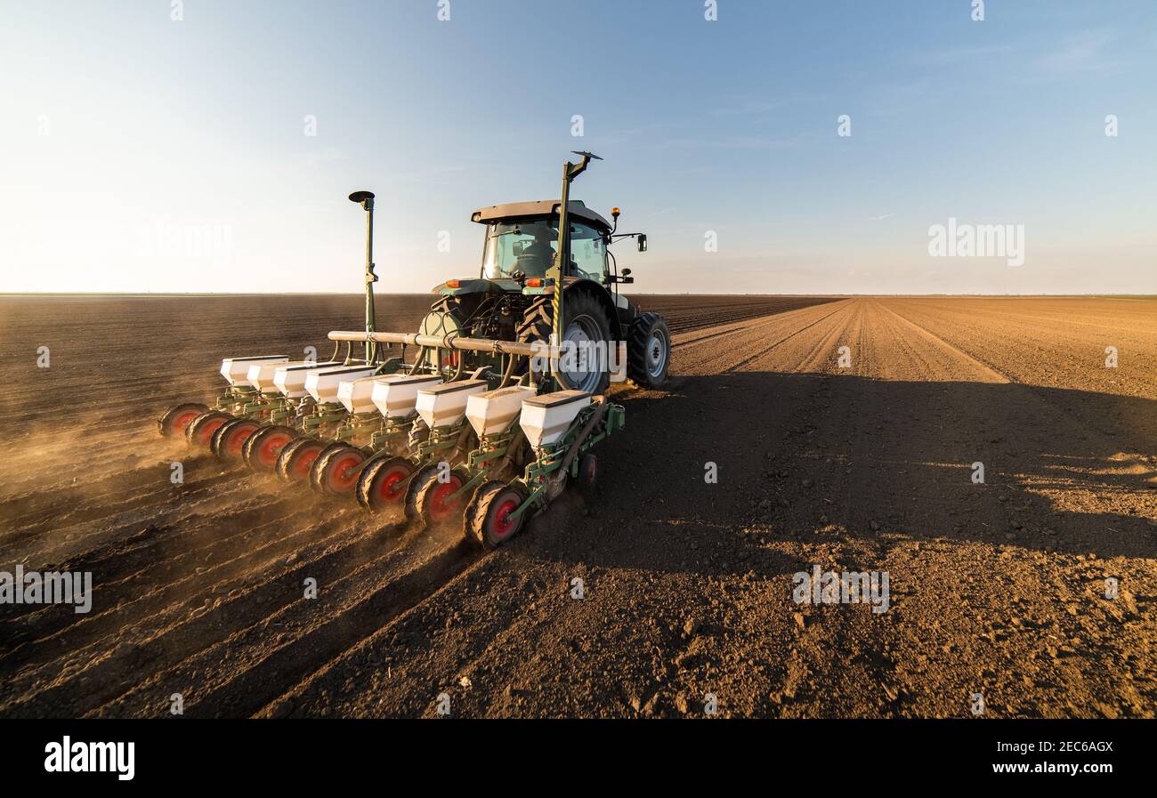 Coltivatore con semina a trattore - semina di prodotti in campo agricolo. Piante, grano. Foto Stock