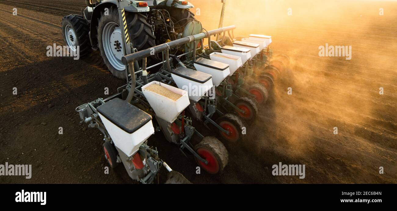 Coltivatore con semina a trattore - semina di prodotti in campo agricolo. Piante, grano. Foto Stock