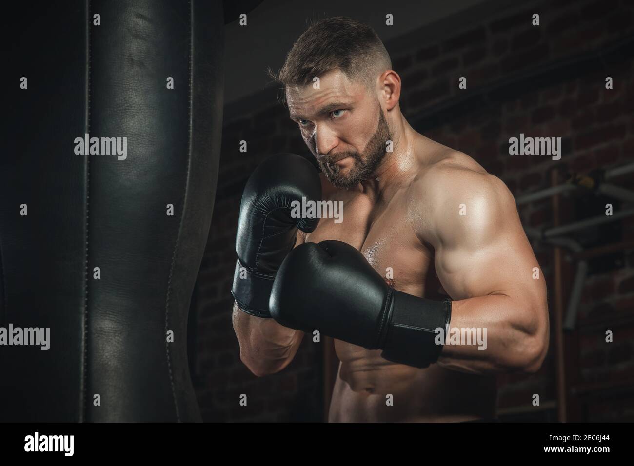 combattente con aggressività batte la borsa da pugilato in guanti neri in palestra. boxer allenarsi duro, sudore andare e pelle scintillante, spazio copia Foto Stock
