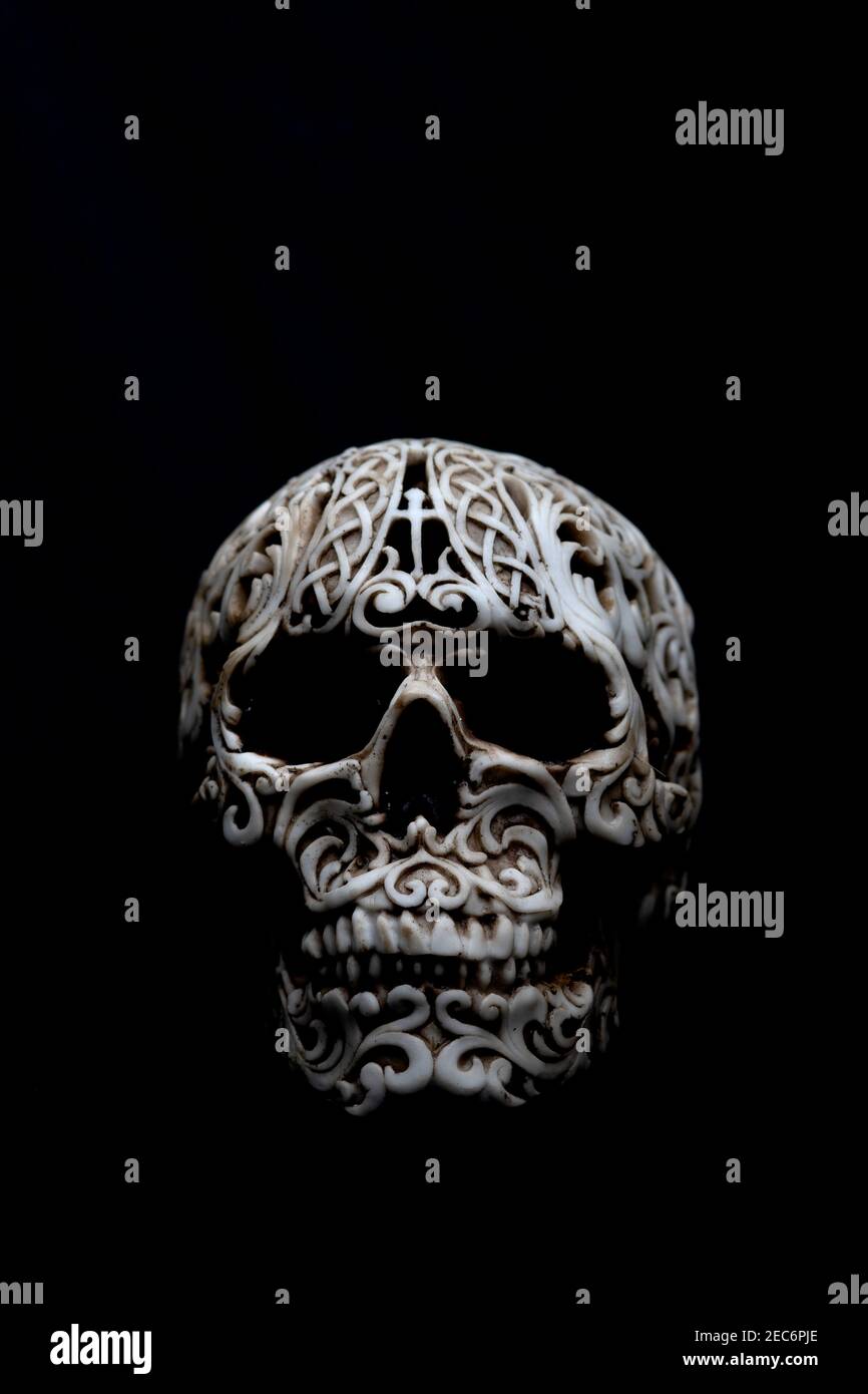 Cranio nel buio Foto Stock