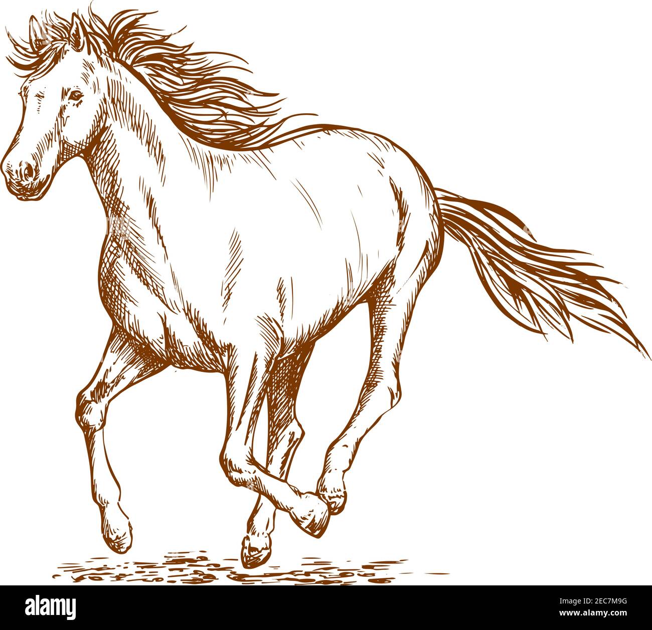 Cavallo bruno schizzo di corsa arabian mare cavallo. Sport equestri, corse ippiche o design con stampa t-shirt Illustrazione Vettoriale
