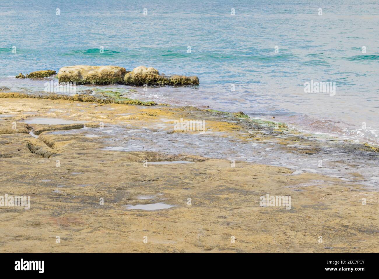 Costa rocciosa di colore giallo pallido o giallo calcareo a Malta, Birgu o Vittoriosa. Calcare maltese. Sfondo di texture calcarea intemperie Foto Stock