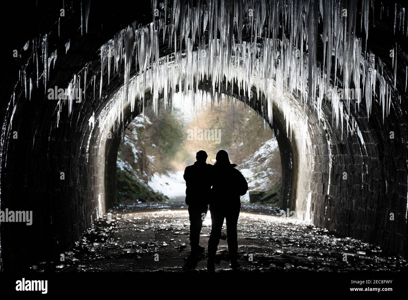 Derbyshire, Regno Unito, 13 febbraio 2021. Centinaia di micle giganti pendono nel tunnel di Hopton nel Derbyshire dopo un prolungato periodo di tempo freddo, Peak Destrict, Regno Unito. Credit: Jon Super/Alamy Live News. Foto Stock