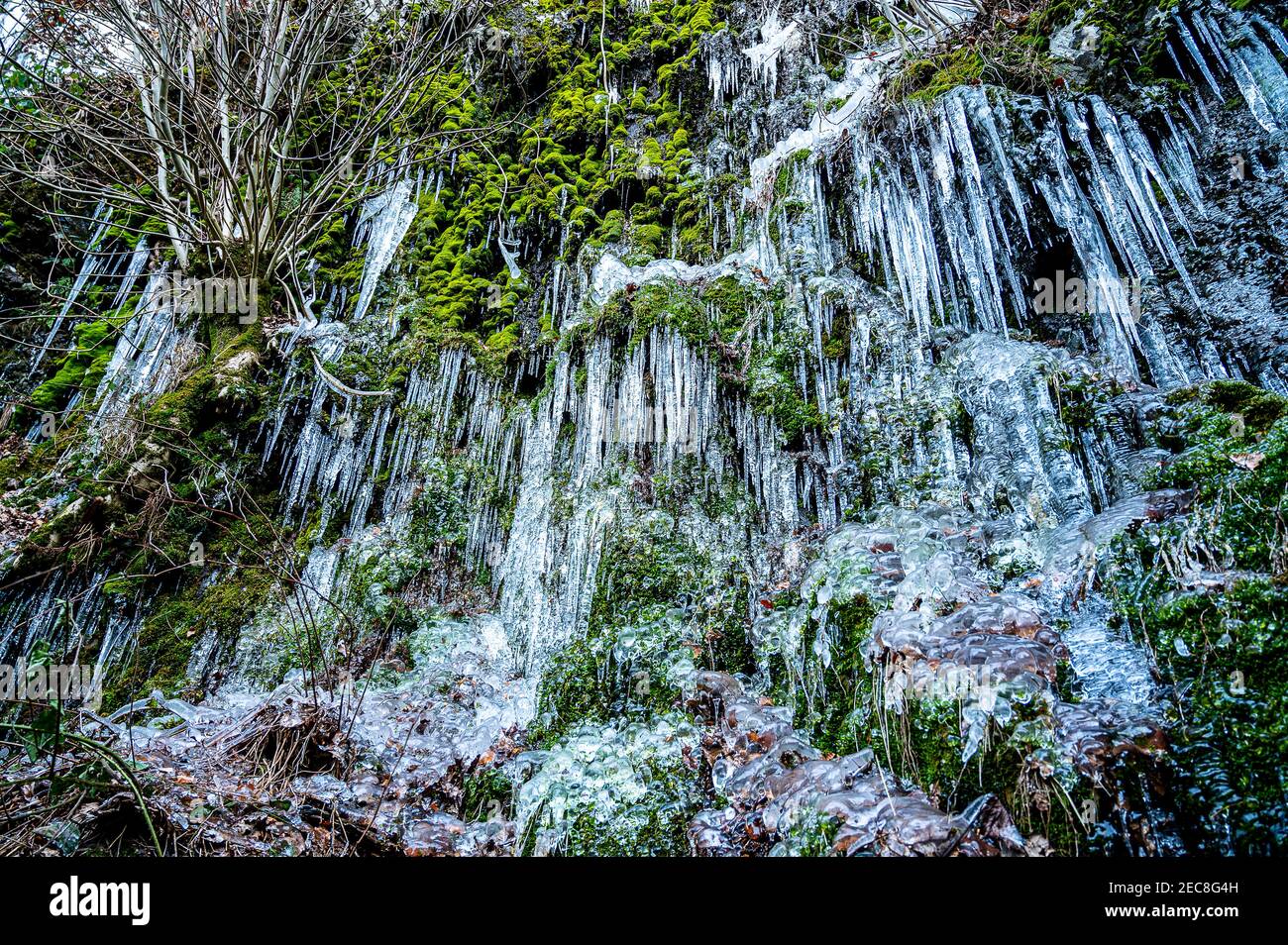 Icicles sulla passeggiata della ferrovia di Keswick Foto Stock