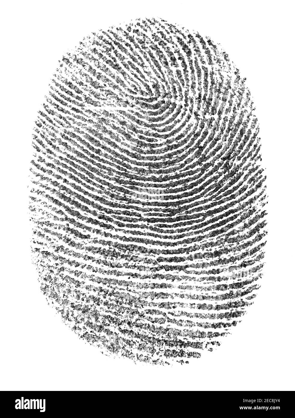 stampa del pollice Foto Stock