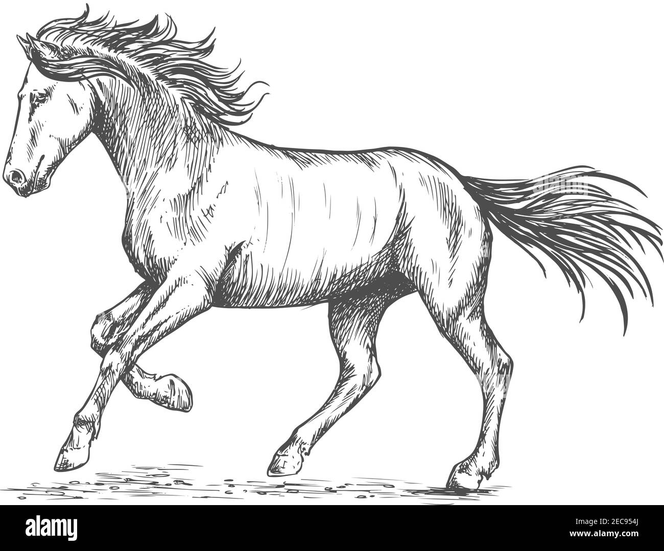 Cavallo da rancing con la zoppa. Disegno ritratto di mustang con gait running e mane ondulato e coda Illustrazione Vettoriale