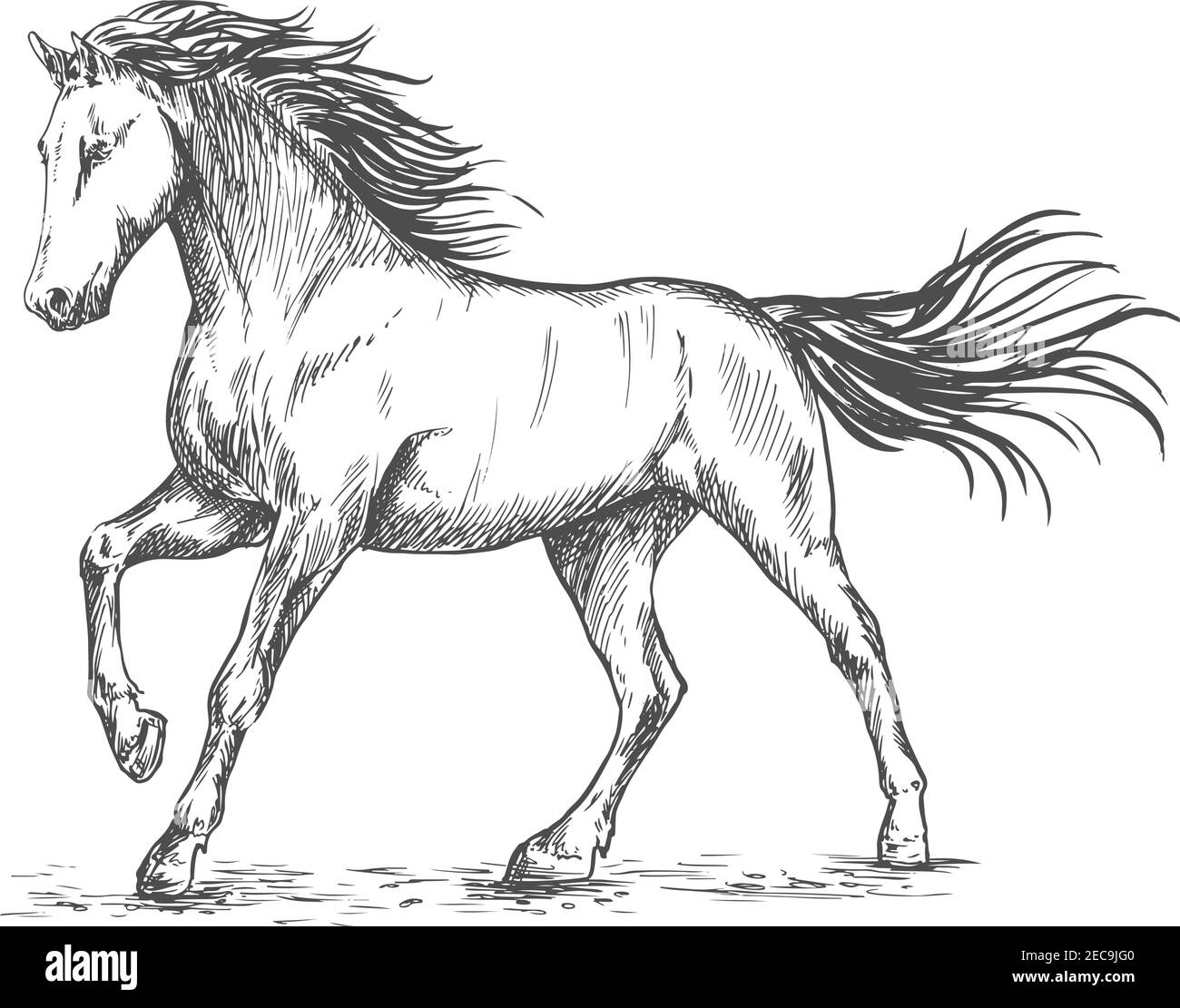 Cavallo bianco con disegno a matita con punta di cerchio ritratto. Mustang con creme e coda ondeggianti dal vento Illustrazione Vettoriale