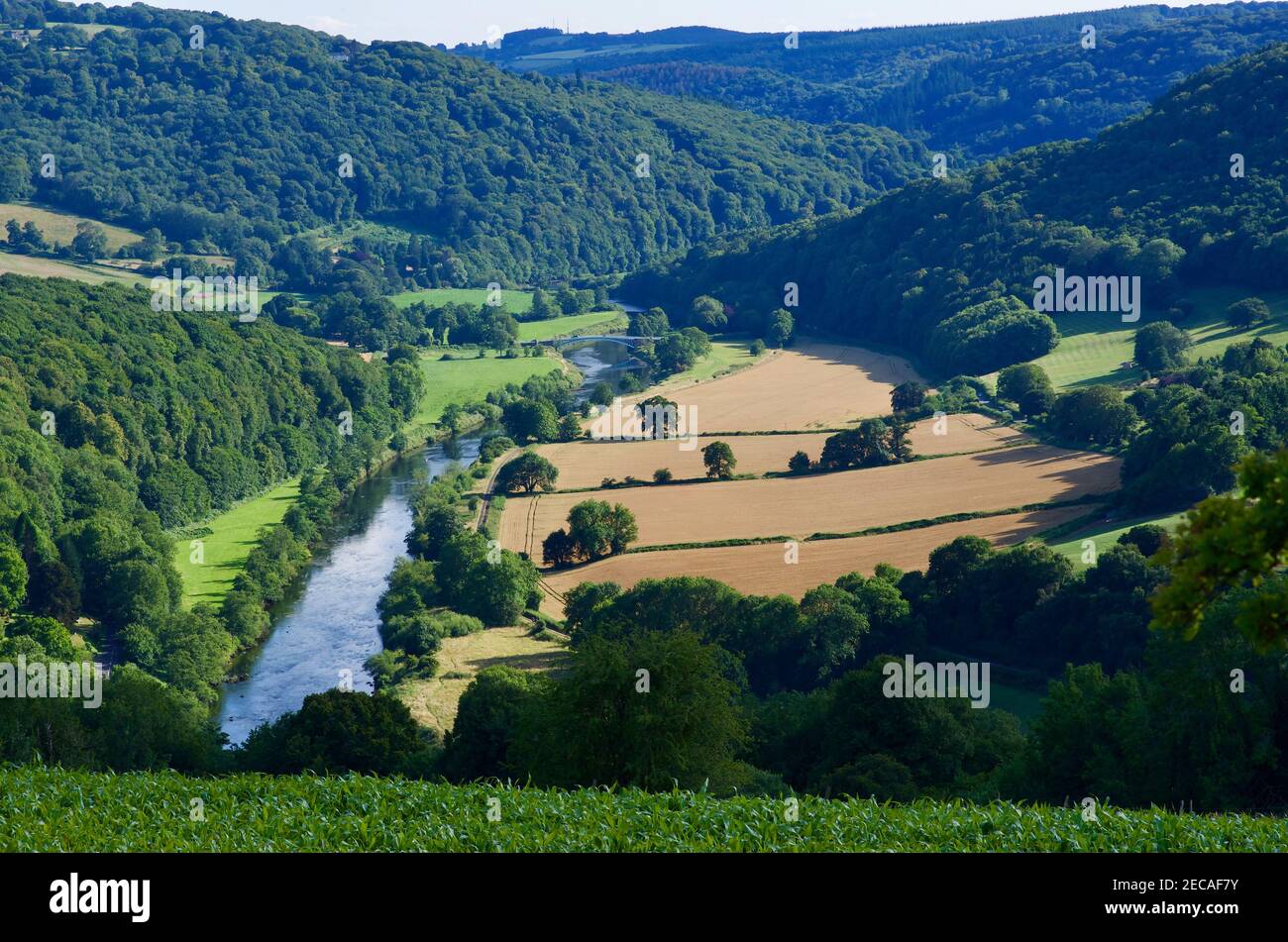 Il Lower River Wye e Bigsweir Bridge in estate, dove uno stramazzo naturale limita la sua estensione marea. Questo punto di vista si affaccia anche sul percorso della diga dell'Offa. Foto Stock