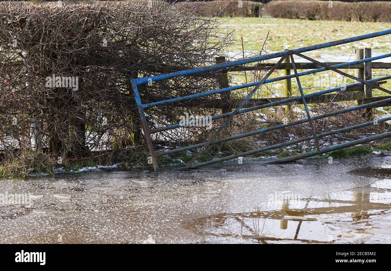Cancello di fattoria intrappolato in acqua di allagamento congelata Foto Stock