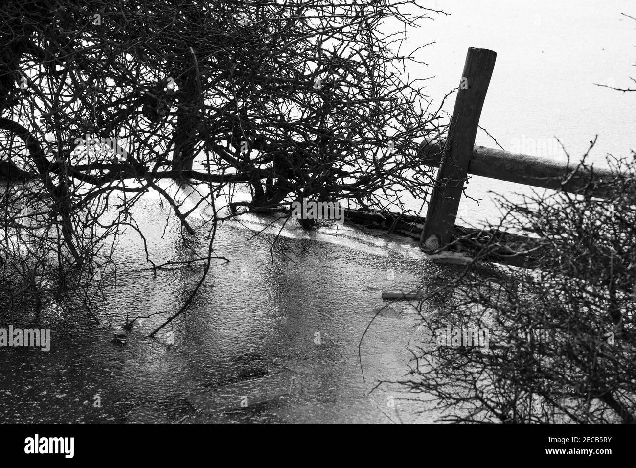 Recinzione in acqua di alluvione congelata Foto Stock