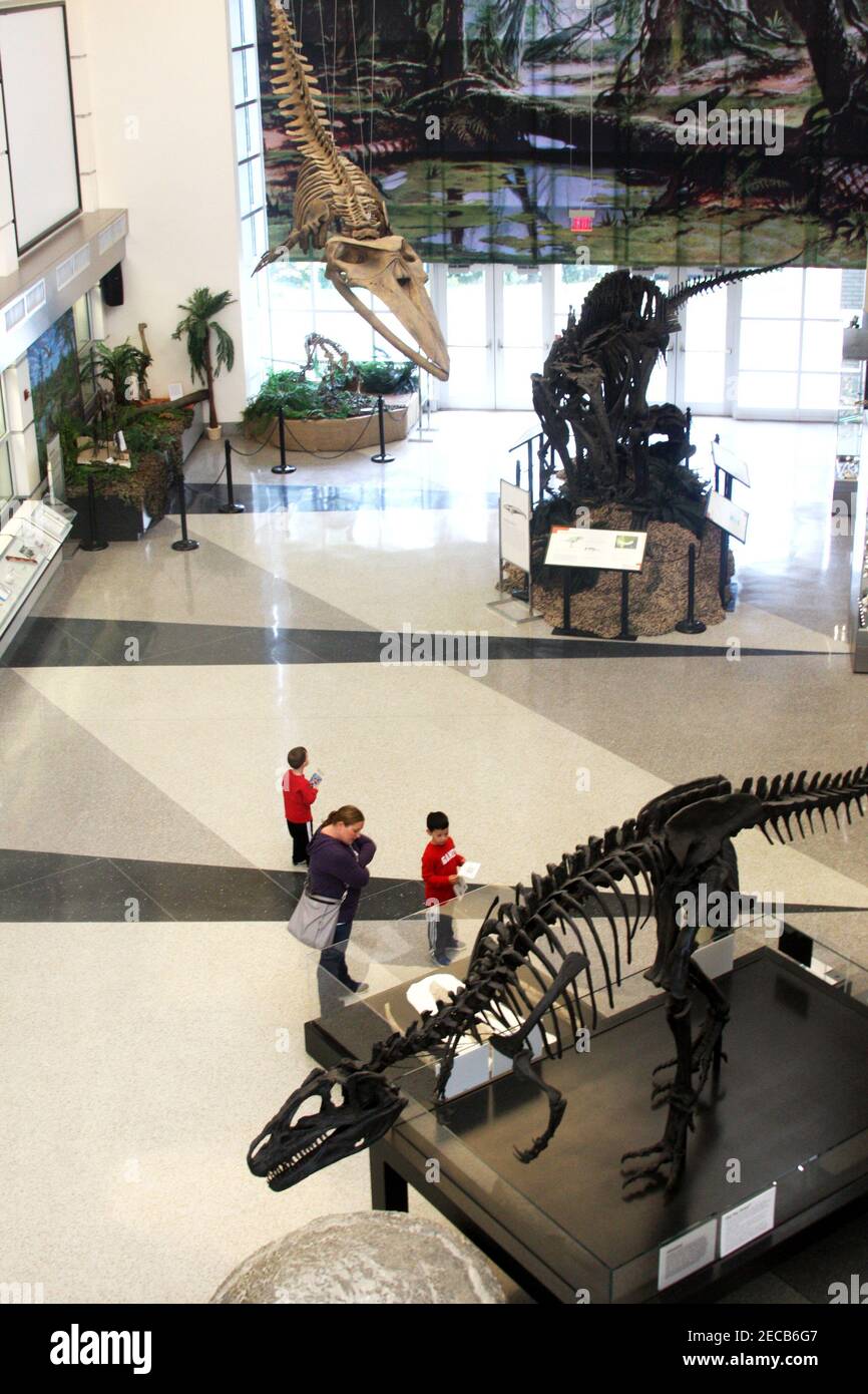 Visitatori della Hall of Ancient Life presso il Virginia Museum of Natural History di Martinsville, Virginia, USA Foto Stock