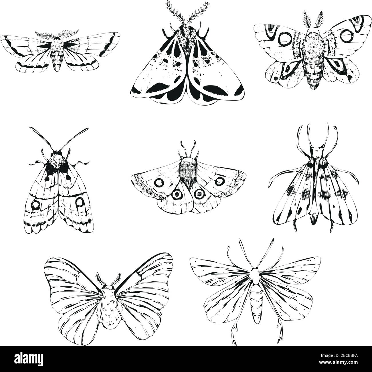 Vector mistico vintage collection Black ink Moth. Serie di farfalle Illustrazione Vettoriale