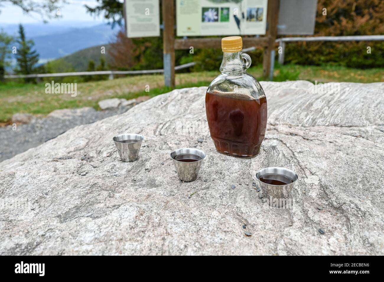 Bottiglia di brandy di prugne e tre bicchieri in un'escursione Nella Foresta Nera vicino Schauinsland Foto Stock