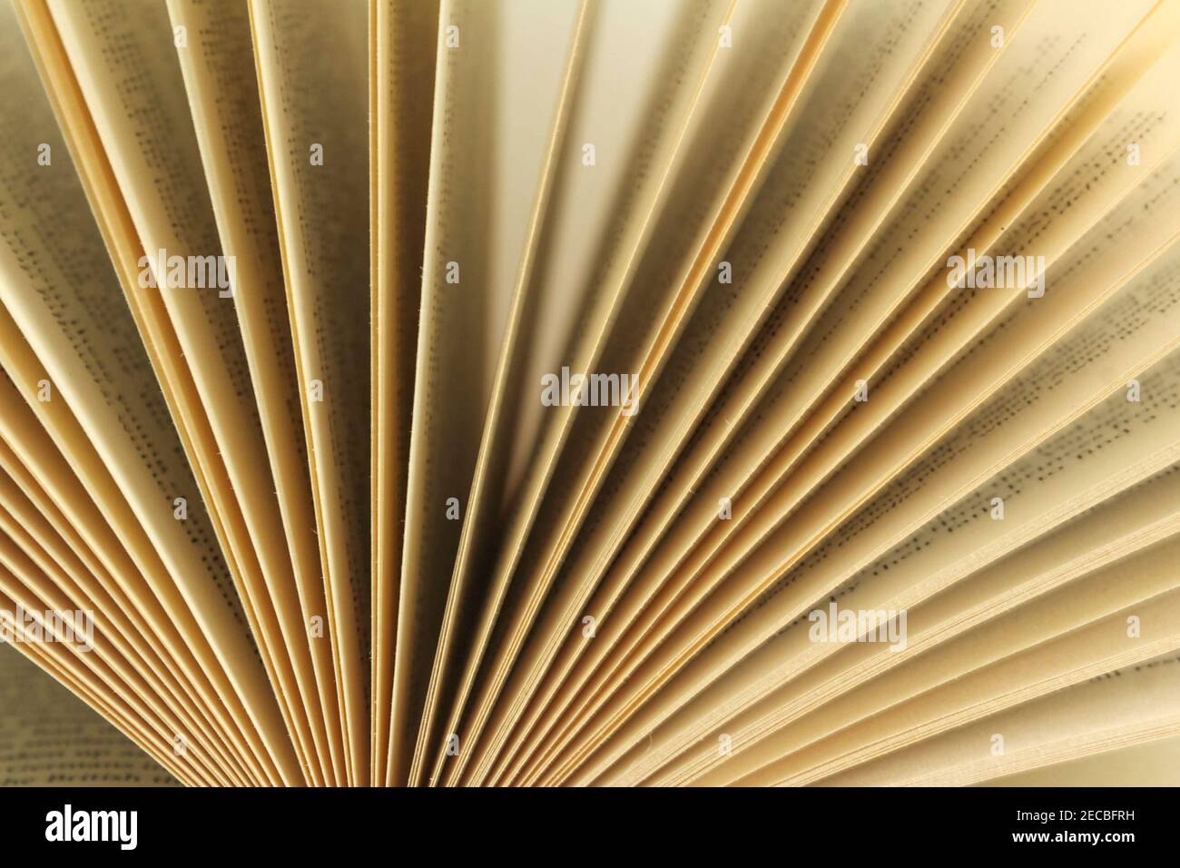 Un primo piano della macro di visualizzazione frontale delle pagine del libro in un libro aperto Foto Stock