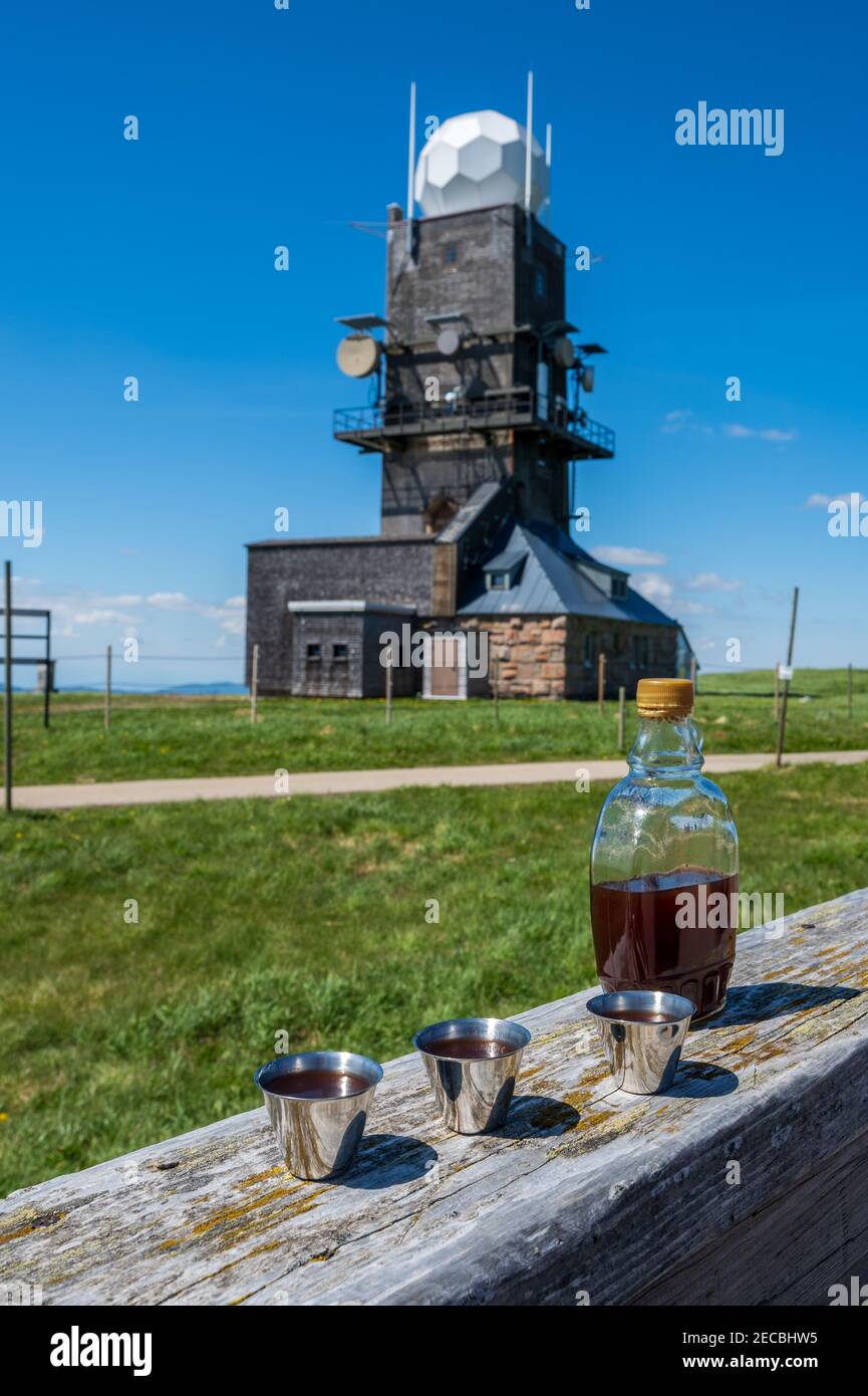 La stazione meteo sul Feldberg, la montagna più alta della Foresta Nera in Germania con acquavite di prugne e becher Foto Stock