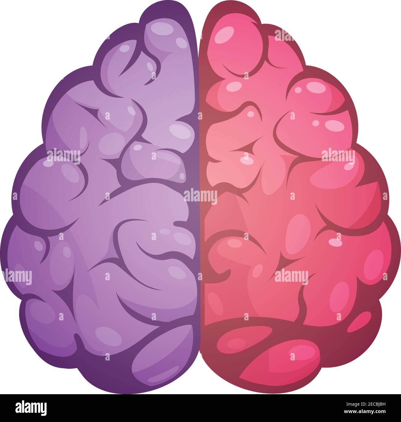 Cervello umano due differenti colori simbolici cerebrali sinistro e destro immagine modello emisfero illustrazione vettoriale astratta Illustrazione Vettoriale