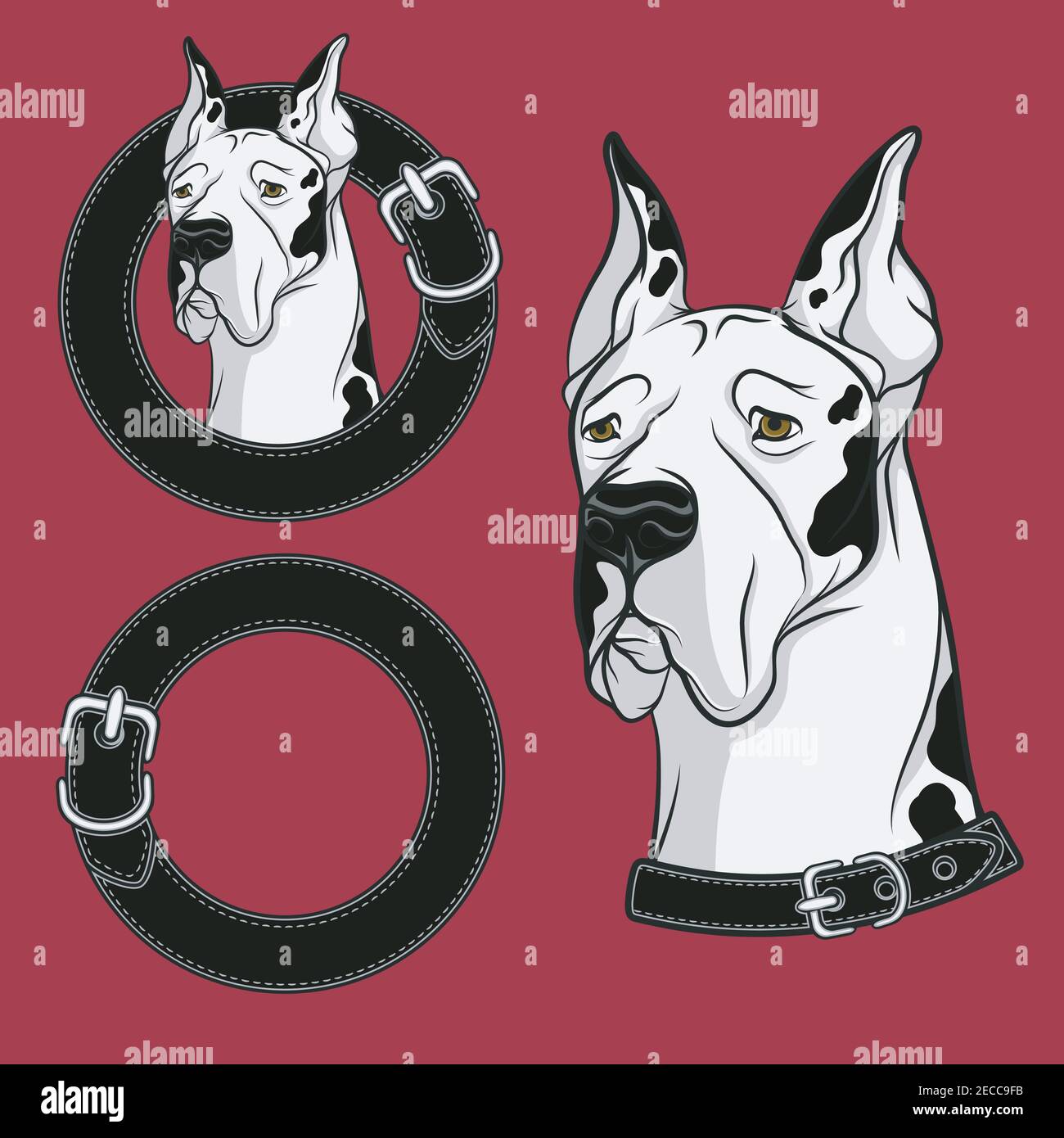 Set di disegno vettoriale a colori del cane nel collare. Oggetti isolati. Illustrazione Vettoriale