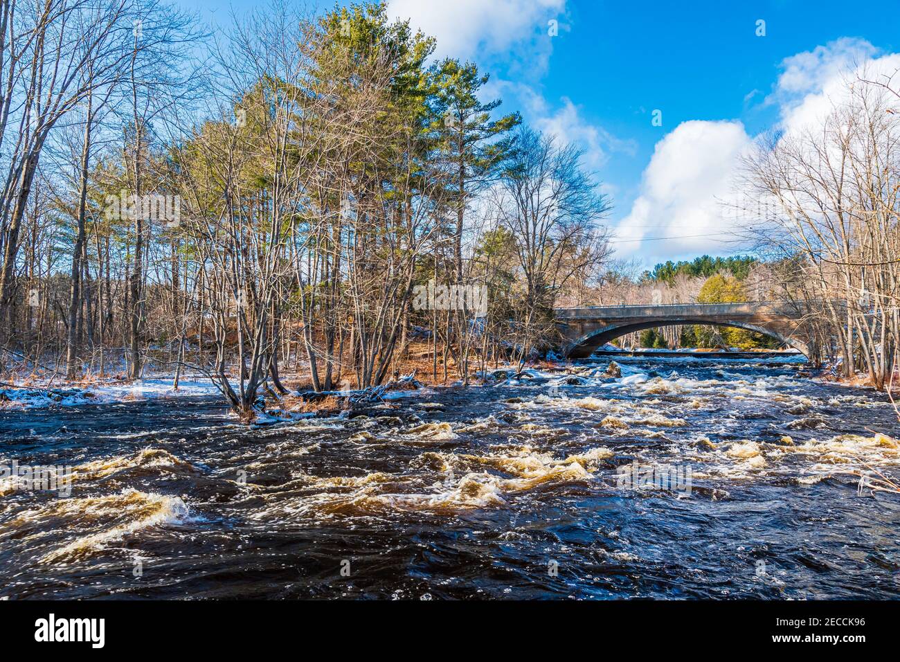 Price Conservation Area Tweed Ontario Hastings County Ontario Canada Foto Stock